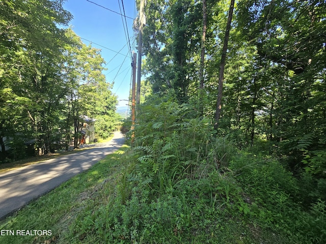 LOT586 Silver Poplar Ln, Sevierville, TN 37876 - photo 6