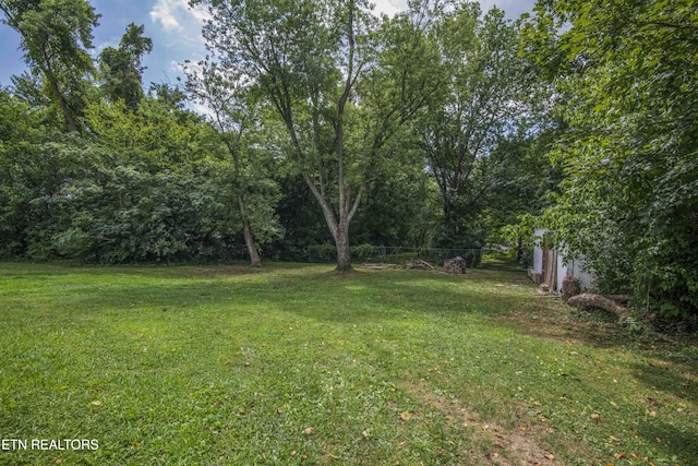 8532 Three Points Rd, Knoxville, TN 37924 - photo 28