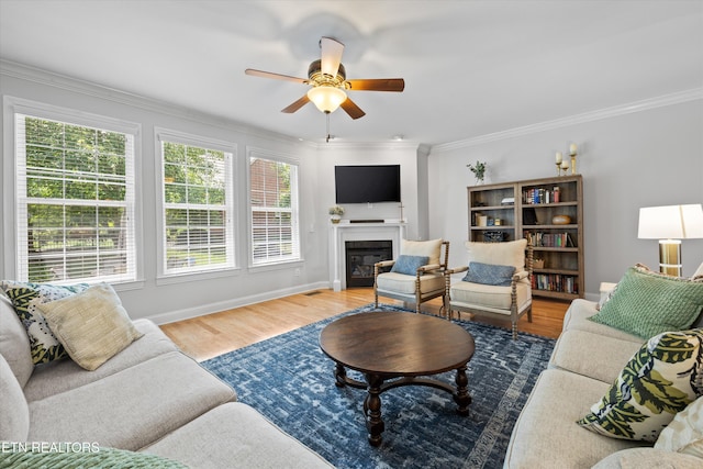12501 Oakborough Ln, Knoxville, TN 37922 - photo 9