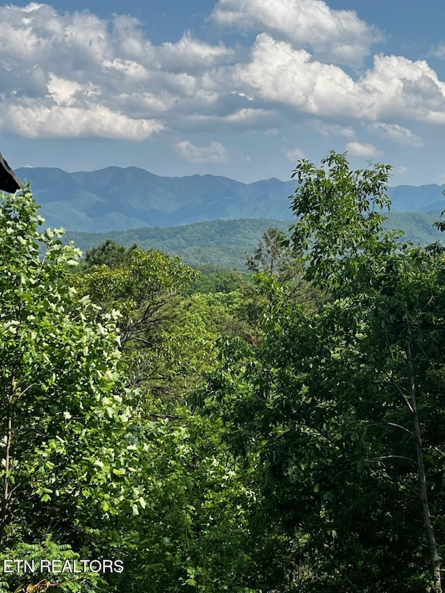 000 Vista Dr, Gatlinburg, TN 37738 - photo 1