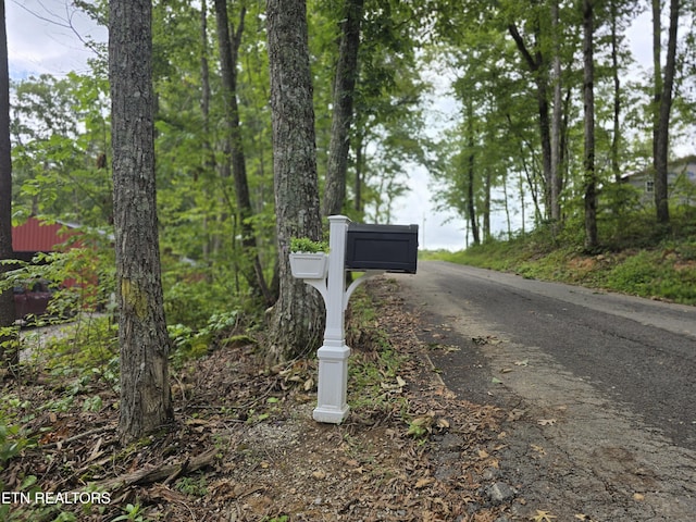 139 W Salzer Mountain Rd, Spencer, TN 38585 - photo 6