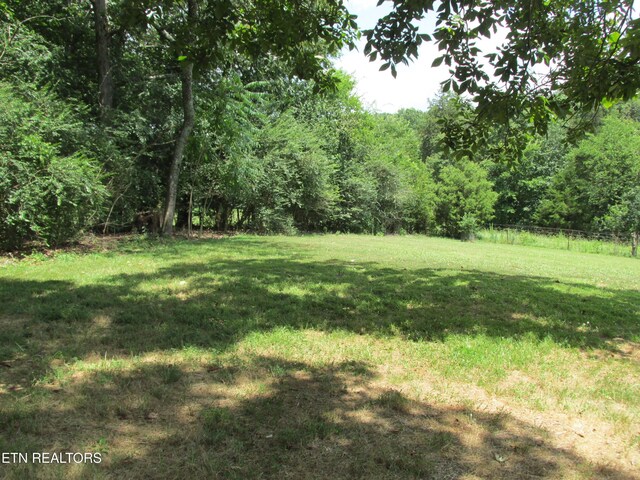1844 Peterson Rd, Greenback, TN 37742 - photo 24