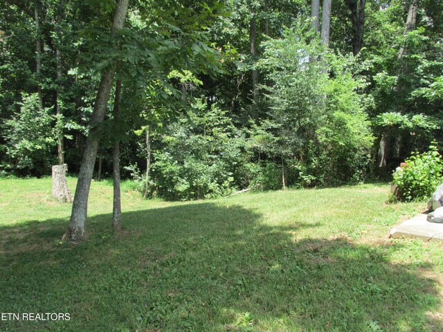 1844 Peterson Rd, Greenback, TN 37742 - photo 25