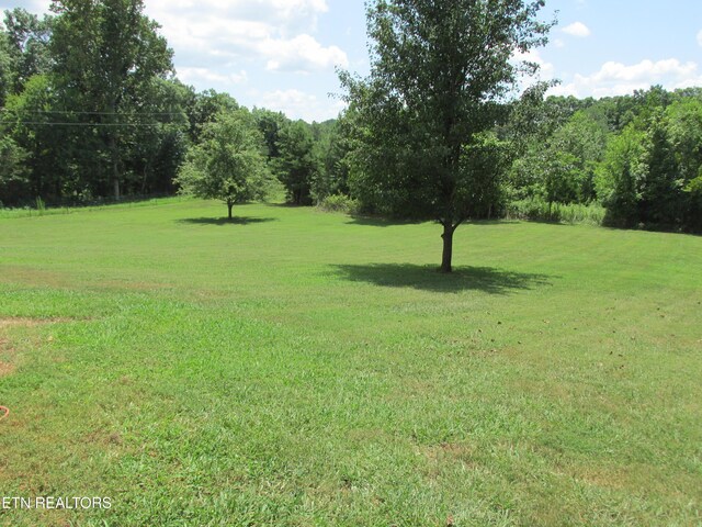 1844 Peterson Rd, Greenback, TN 37742 - photo 28