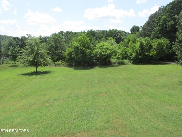 1844 Peterson Rd, Greenback, TN 37742 - photo 29