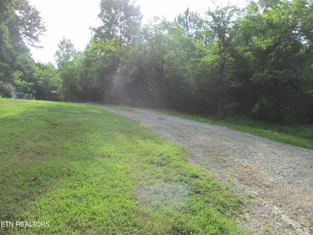 1844 Peterson Rd, Greenback, TN 37742 - photo 31