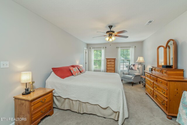 102 Nantucket Way, Oak Ridge, TN 37830 - photo 32