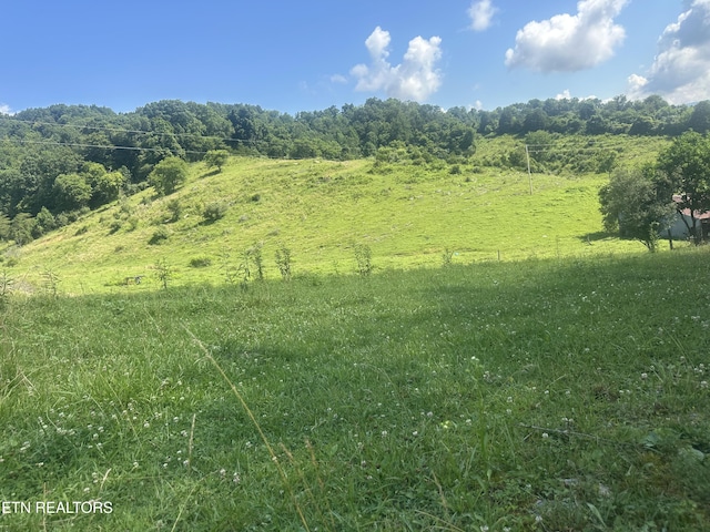 Cumberland Estates Rd, Cumberland Gap, TN 37724 - photo 1