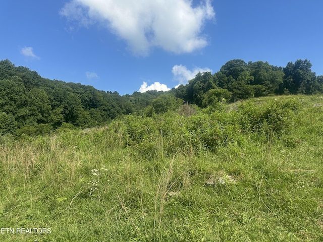 Cumberland Estates Rd, Cumberland Gap, TN 37724 - photo 2