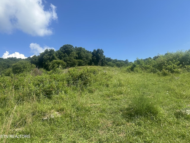 Cumberland Estates Rd, Cumberland Gap, TN 37724 - photo 7