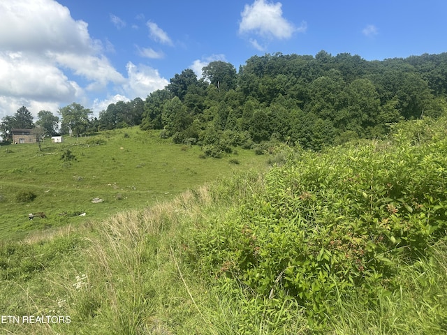 Cumberland Estates Rd, Cumberland Gap, TN 37724 - photo 8
