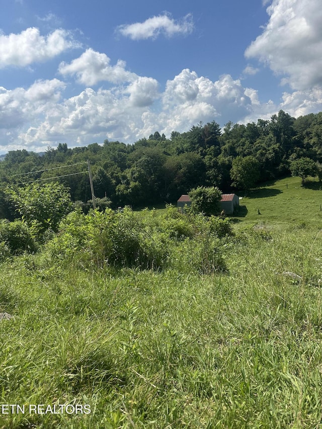 Cumberland Estates Rd, Cumberland Gap, TN 37724 - photo 4