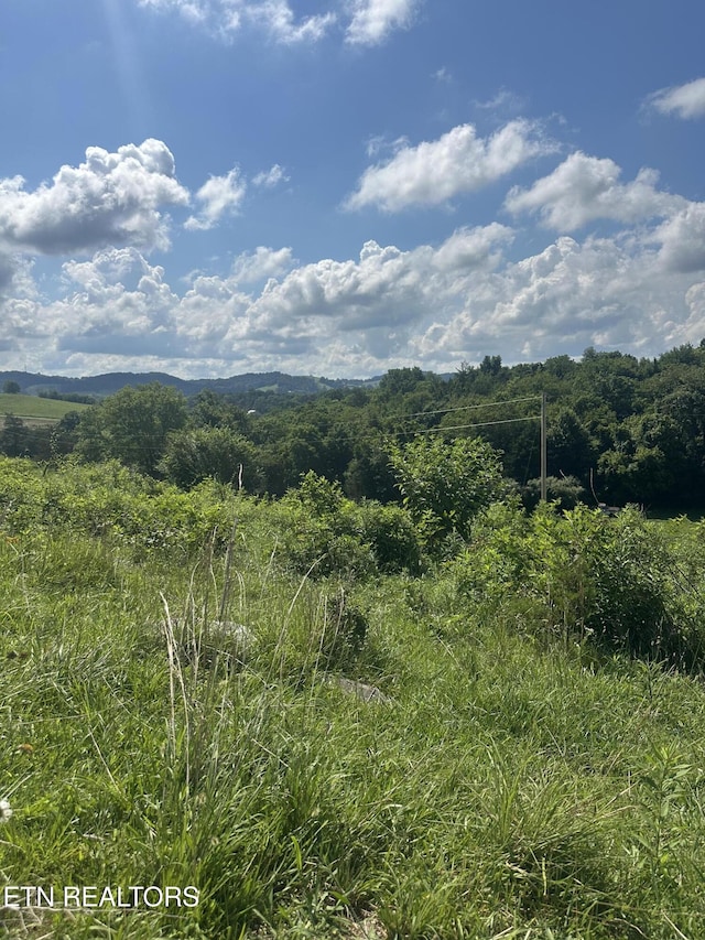Cumberland Estates Rd, Cumberland Gap, TN 37724 - photo 5