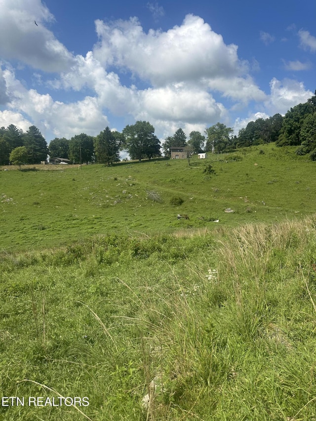 Cumberland Estates Rd, Cumberland Gap, TN 37724 - photo 9