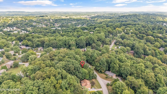705 Villa Crest Dr, Knoxville, TN 37923 - photo 45