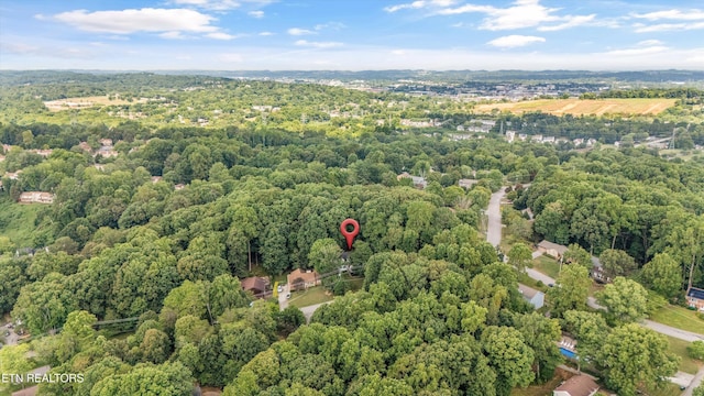705 Villa Crest Dr, Knoxville, TN 37923 - photo 46