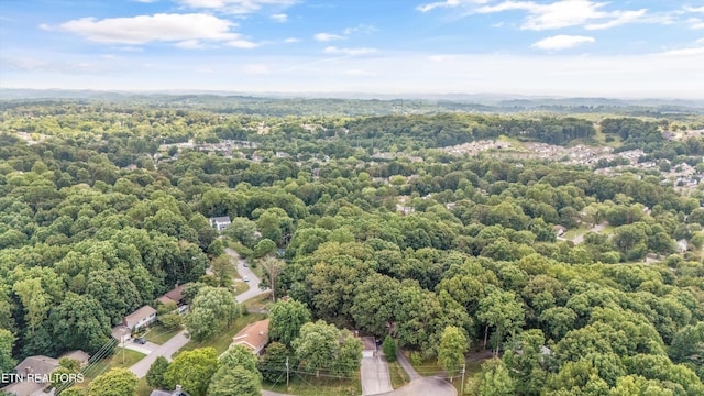705 Villa Crest Dr, Knoxville, TN 37923 - photo 47