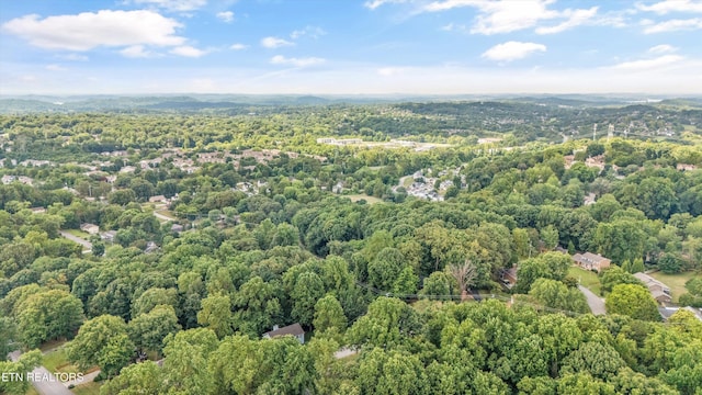705 Villa Crest Dr, Knoxville, TN 37923 - photo 48