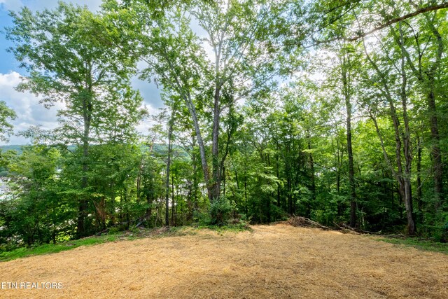 200 Burnett Ln, Oneida, TN 37841 - photo 35