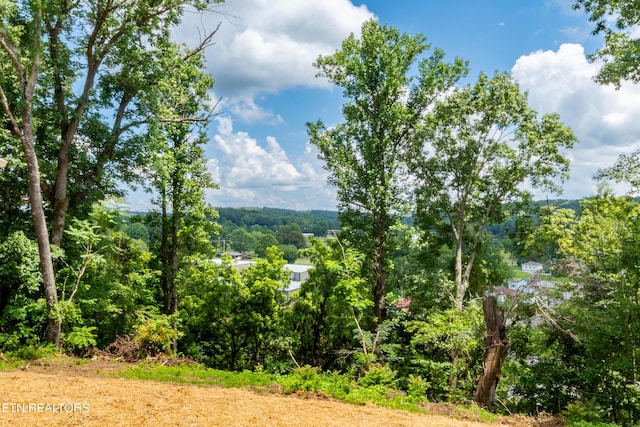 200 Burnett Ln, Oneida, TN 37841 - photo 36