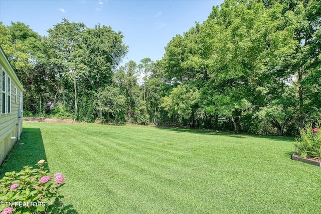 508 Davistown Rd, Celina, TN 38551 - photo 14