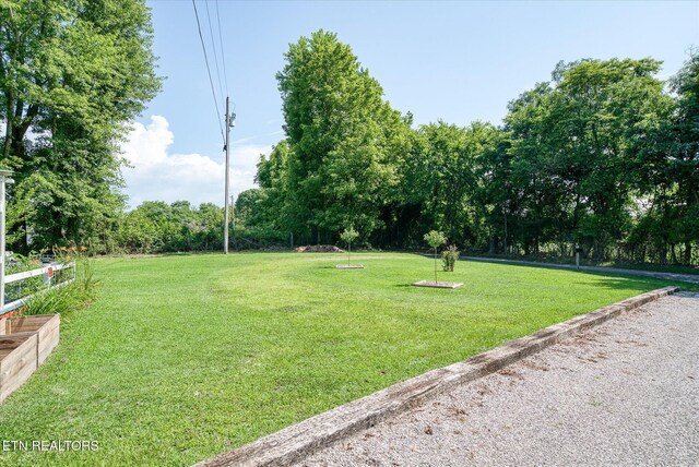 508 Davistown Rd, Celina, TN 38551 - photo 17