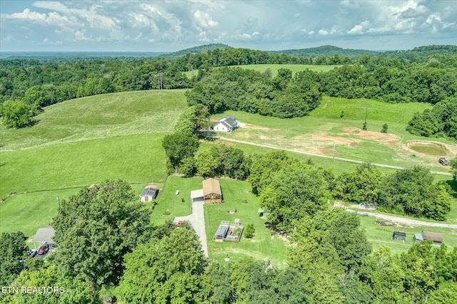 508 Davistown Rd, Celina, TN 38551 - photo 25
