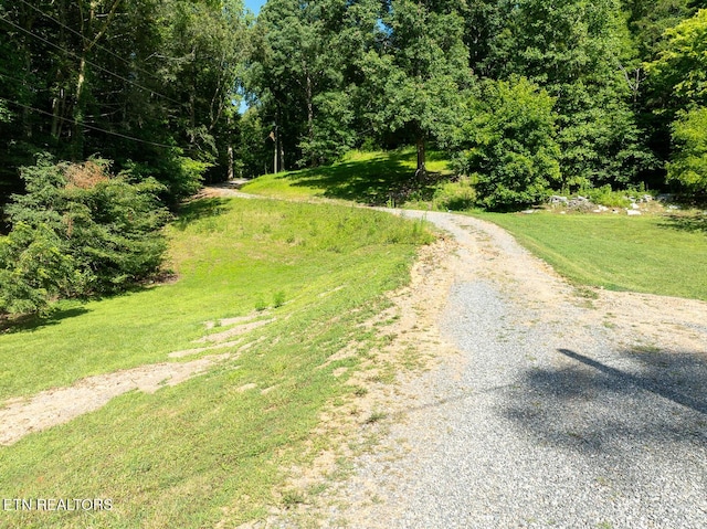 828 Hembree Hollow Rd, Townsend, TN 37882 - photo 3