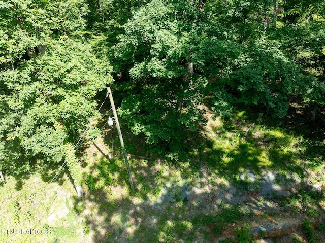 828 Hembree Hollow Rd, Townsend, TN 37882 - photo 5