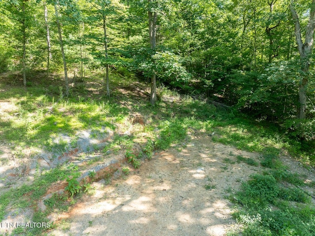 828 Hembree Hollow Rd, Townsend, TN 37882 - photo 6