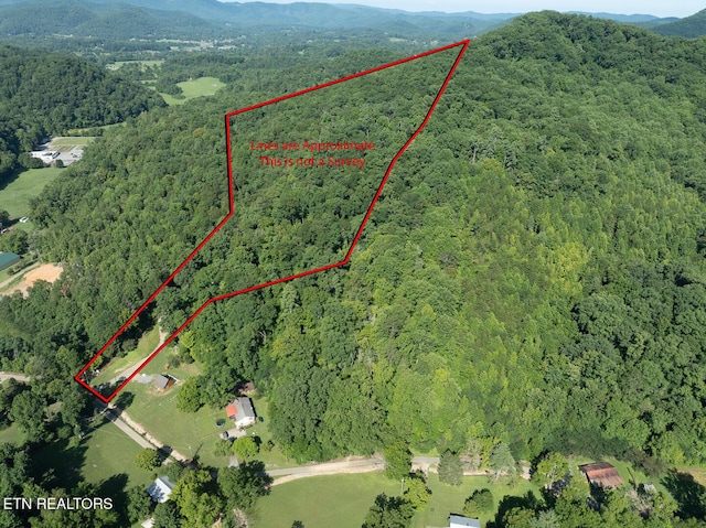 828 Hembree Hollow Rd, Townsend, TN 37882 - photo 1
