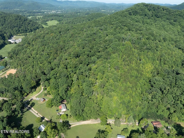 828 Hembree Hollow Rd, Townsend, TN 37882 - photo 7
