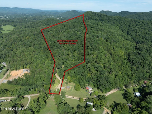 828 Hembree Hollow Rd, Townsend, TN 37882 - photo 2
