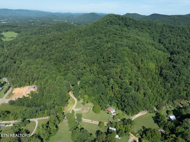 828 Hembree Hollow Rd, Townsend, TN 37882 - photo 9