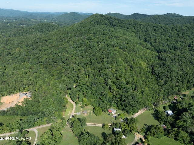 828 Hembree Hollow Rd, Townsend, TN 37882 - photo 10