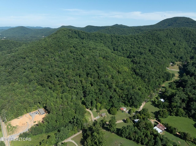 828 Hembree Hollow Rd, Townsend, TN 37882 - photo 11
