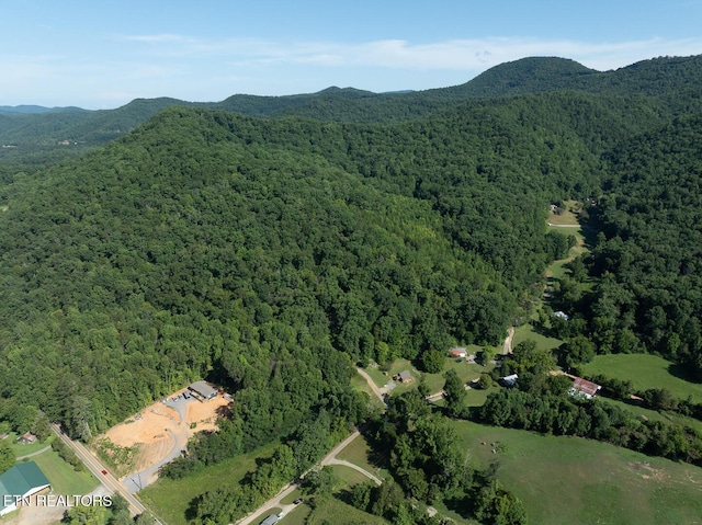 828 Hembree Hollow Rd, Townsend, TN 37882 - photo 12