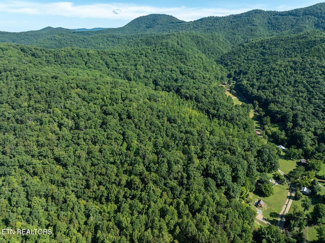 828 Hembree Hollow Rd, Townsend, TN 37882 - photo 13