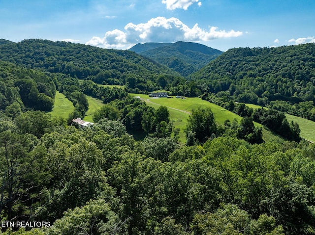 828 Hembree Hollow Rd, Townsend, TN 37882 - photo 14