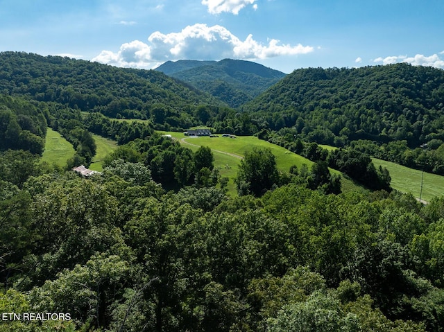 828 Hembree Hollow Rd, Townsend, TN 37882 - photo 15