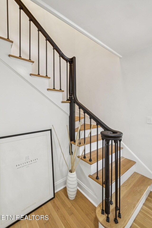 4320 Beechwood Rd, Knoxville, TN 37920 - photo 19