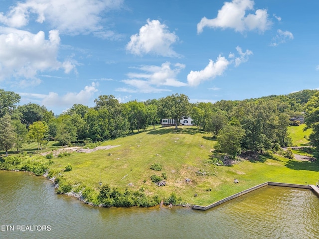 4320 Beechwood Rd, Knoxville, TN 37920 - photo 39