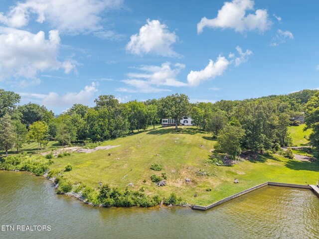 4320 Beechwood Rd, Knoxville, TN 37920 - photo 42