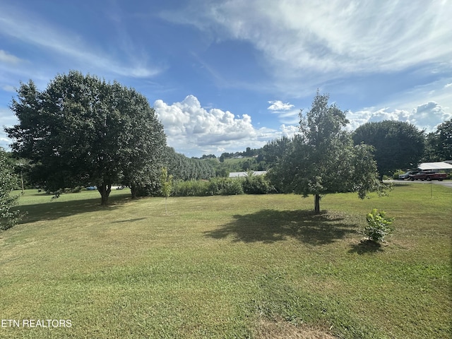 128 Woods Dr, Sweetwater, TN 37874 - photo 49