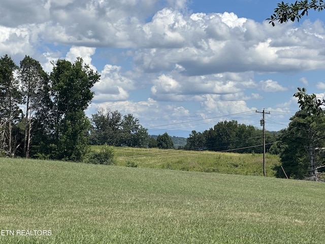 128 Woods Dr, Sweetwater, TN 37874 - photo 50