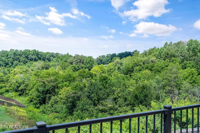 6085 Bayonet Ln, Knoxville, TN 37920 - photo 7