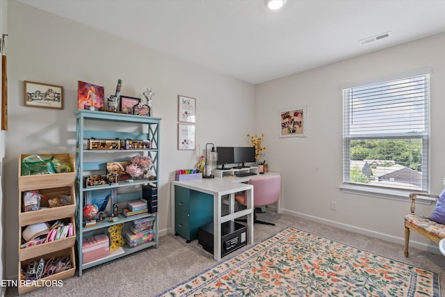 6085 Bayonet Ln, Knoxville, TN 37920 - photo 30