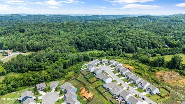 6085 Bayonet Ln, Knoxville, TN 37920 - photo 39