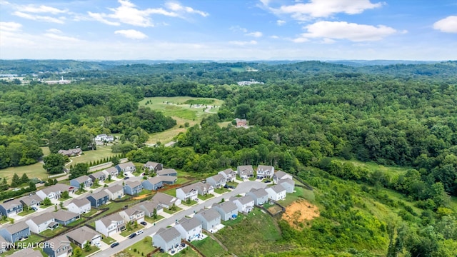 6085 Bayonet Ln, Knoxville, TN 37920 - photo 40