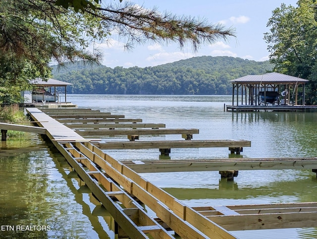 Emerald Pointe, Rockwood, TN 37854 - photo 4